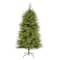 5ft. Pre-Lit Vancouver Fir Natural Look Artificial Christmas Tree with Clear LED Lights
